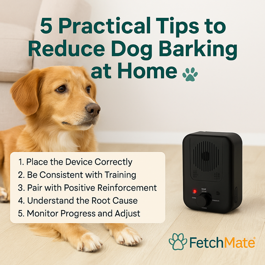 5 Tips to Reduce Dog Barking with the FetchMate® Bark Silencer