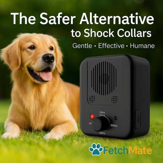 Why the Bark Silencer is the Safer Choice?
